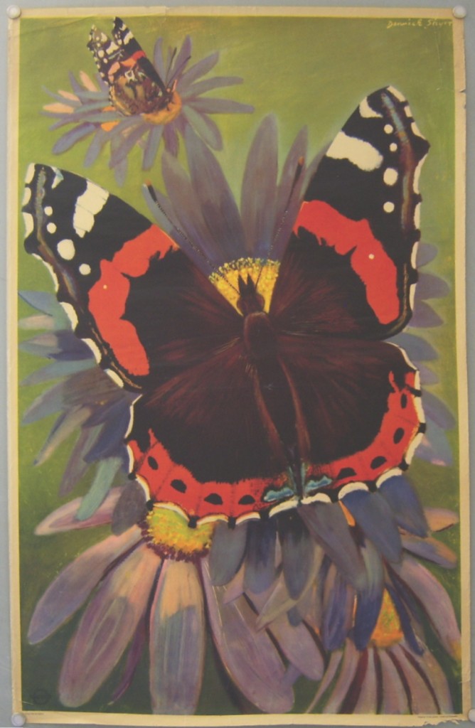 Derrick Sayer posters Butterflies