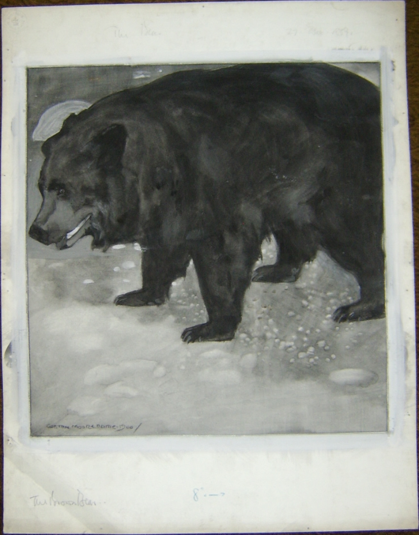 Carton Moore Park drawing Bear
