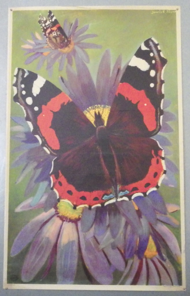 Derrick Sayer poster Butterflies